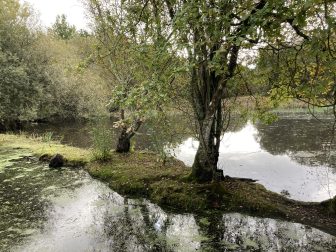 img_9942